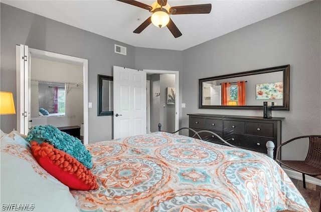 bedroom featuring a walk in closet, ceiling fan, a closet, and wood-type flooring