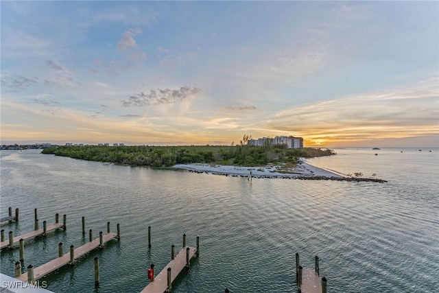 dock area with a water view