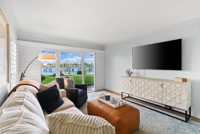 living room with hardwood / wood-style floors, a wealth of natural light, and ornamental molding