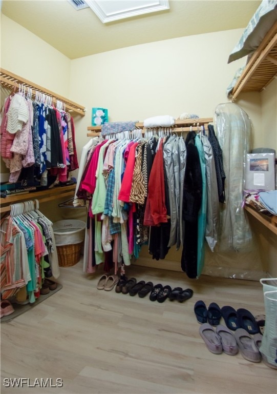 walk in closet with hardwood / wood-style floors