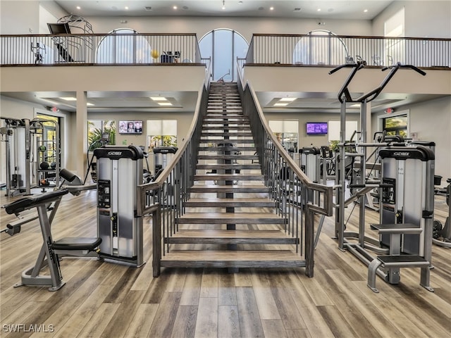 workout area with plenty of natural light, hardwood / wood-style floors, and a towering ceiling