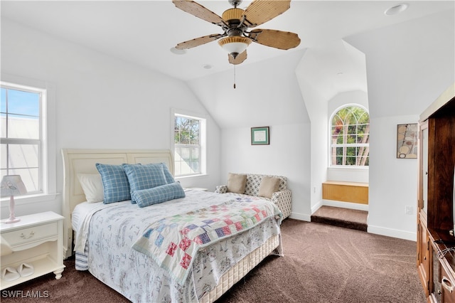 bedroom with multiple windows, ceiling fan, and carpet