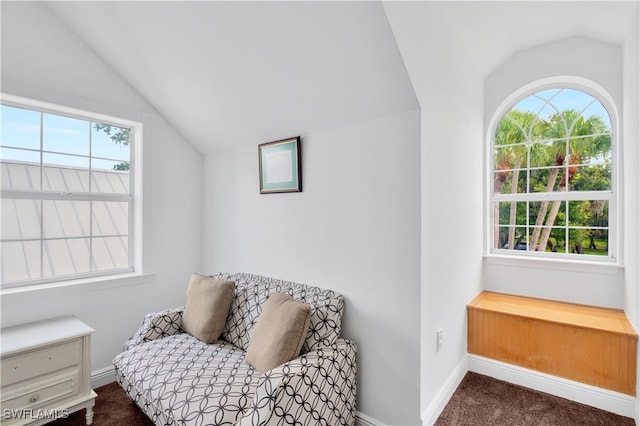 living area with dark colored carpet, vaulted ceiling, and plenty of natural light