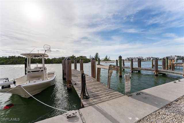 dock area with a water view