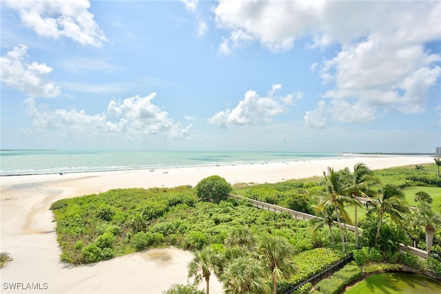 water view featuring a beach view