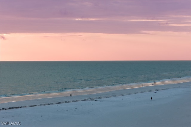 water view featuring a beach view