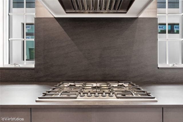 kitchen featuring exhaust hood and stainless steel gas cooktop