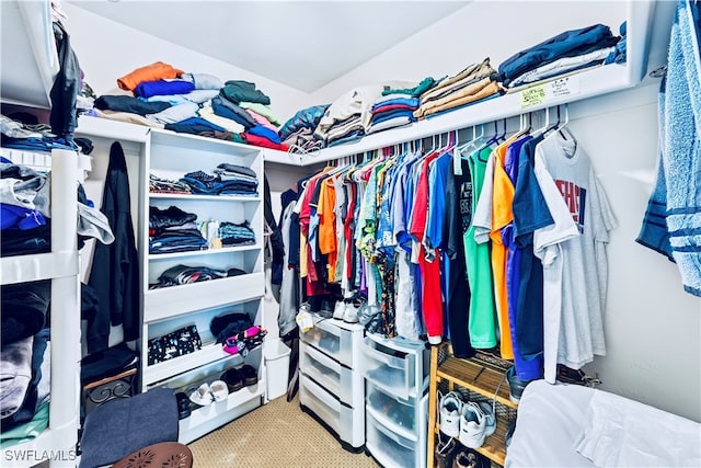 view of walk in closet