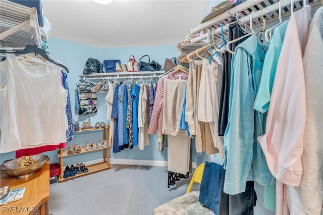 walk in closet featuring carpet floors