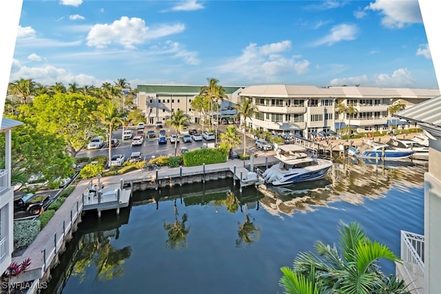 dock area with a water view