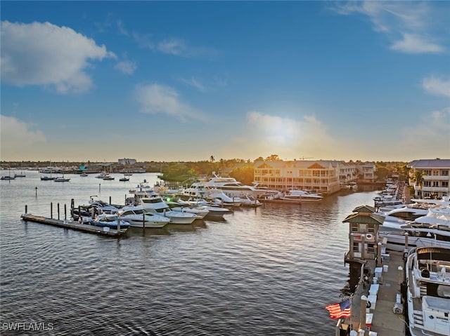 dock area featuring a water view