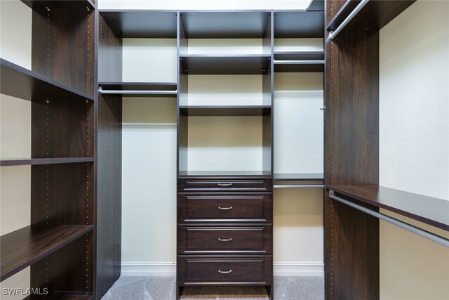 spacious closet with carpet flooring