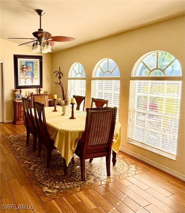 dining area with ceiling fan, a healthy amount of sunlight, a textured ceiling, and wood-type flooring