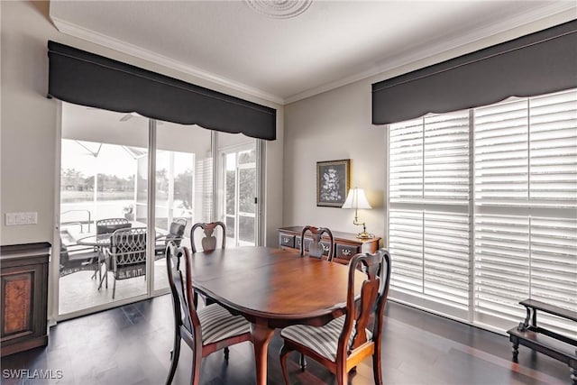 dining area featuring dark wood-type flooring, plenty of natural light, ornamental molding, and a water view