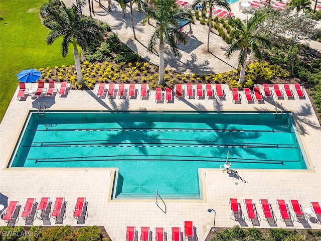 view of swimming pool