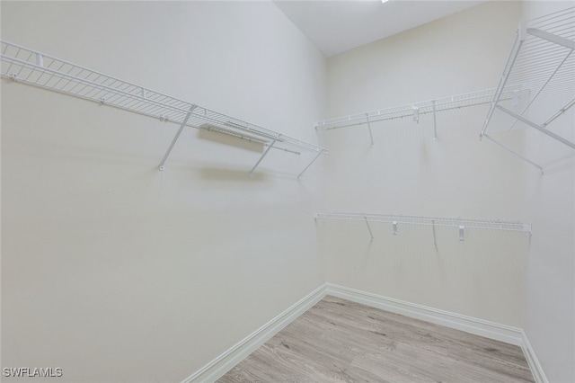 spacious closet featuring light wood-type flooring