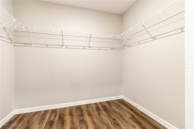 spacious closet with hardwood / wood-style floors