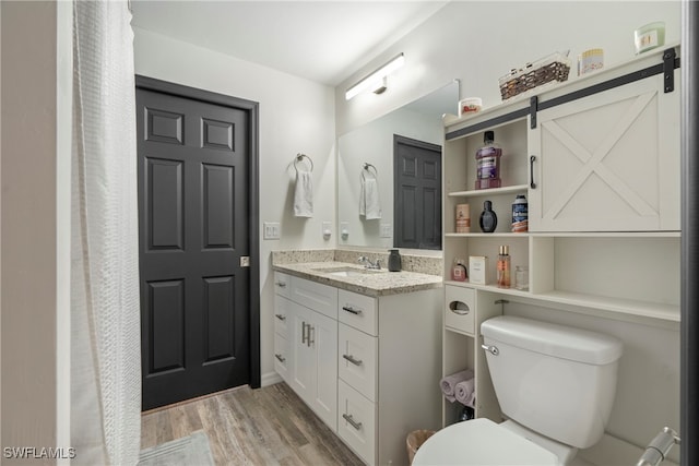 bathroom featuring vanity, toilet, and wood-type flooring