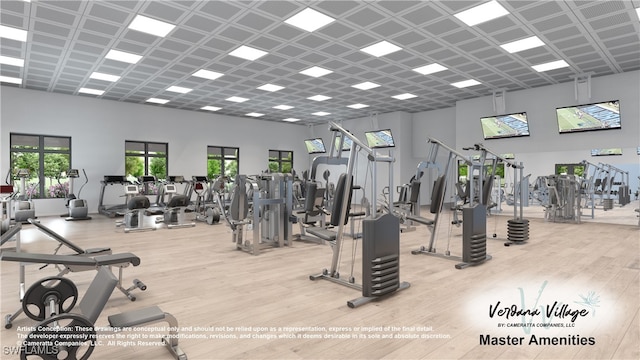 workout area featuring light hardwood / wood-style flooring and a towering ceiling