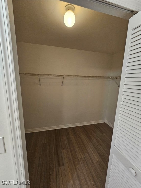 spacious closet featuring dark wood-type flooring