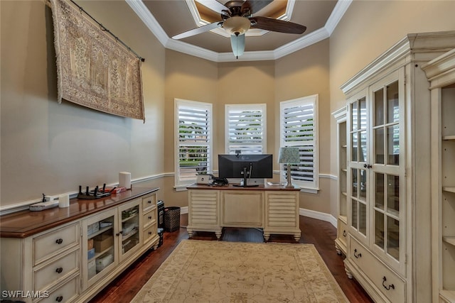 office space with plenty of natural light, crown molding, and dark wood-type flooring