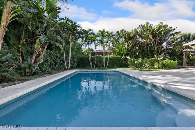 view of swimming pool