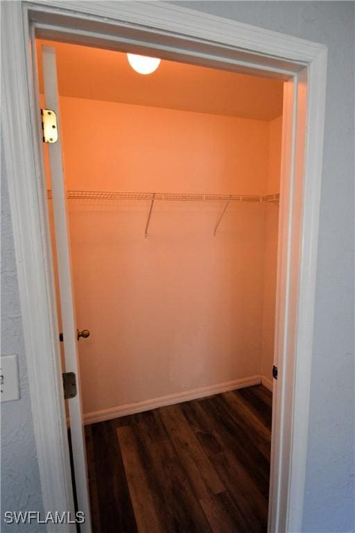 walk in closet with dark hardwood / wood-style flooring