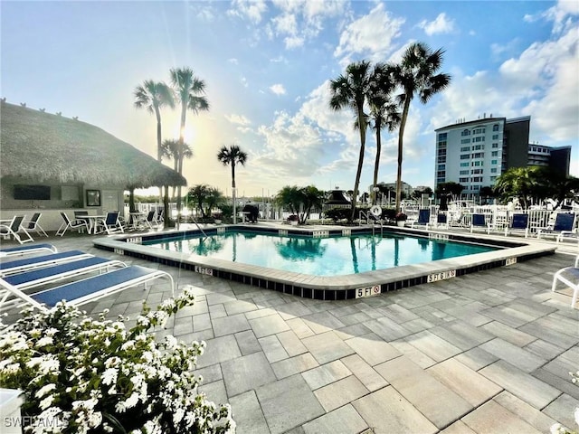 view of pool featuring a patio