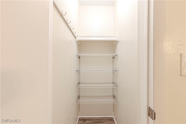 walk in closet with wood-type flooring