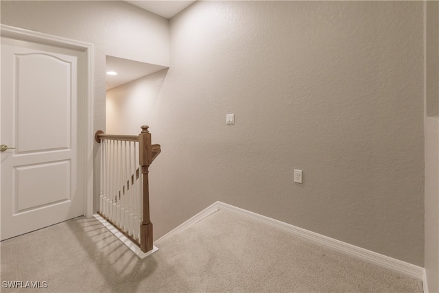 staircase featuring carpet flooring