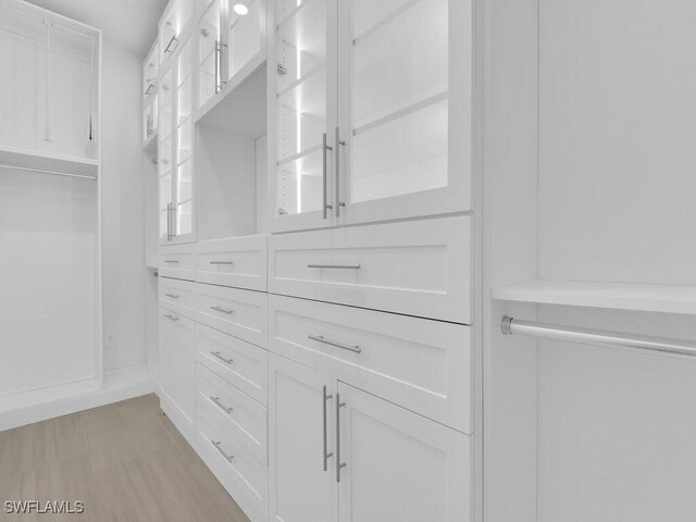 spacious closet featuring light hardwood / wood-style floors