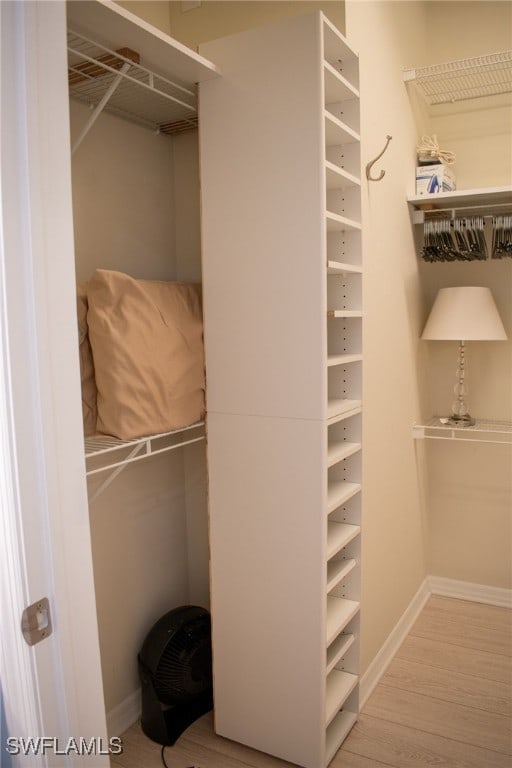 spacious closet with wood-type flooring