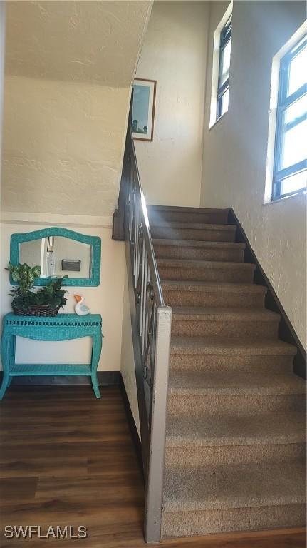 stairway with wood-type flooring and a healthy amount of sunlight