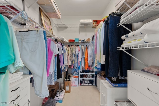 walk in closet featuring light carpet