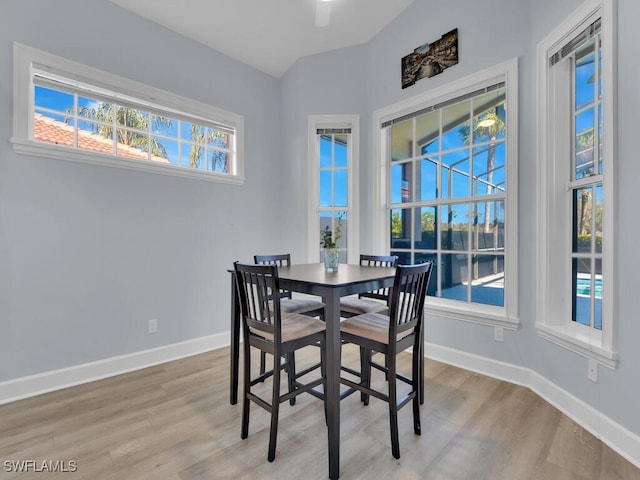 dining area with light hardwood / wood-style flooring