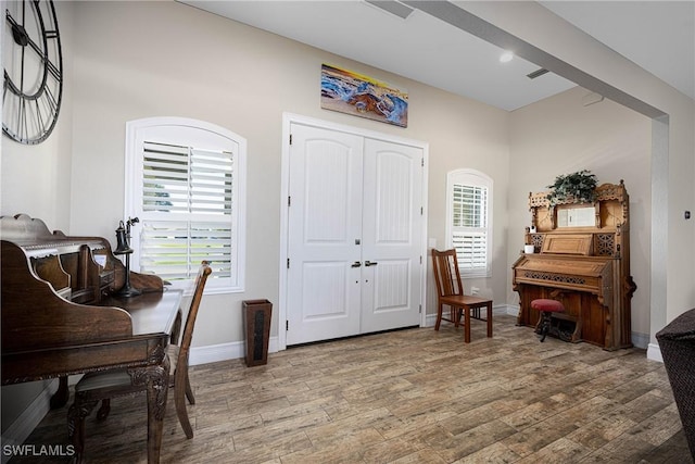 entryway featuring wood-type flooring and a wealth of natural light