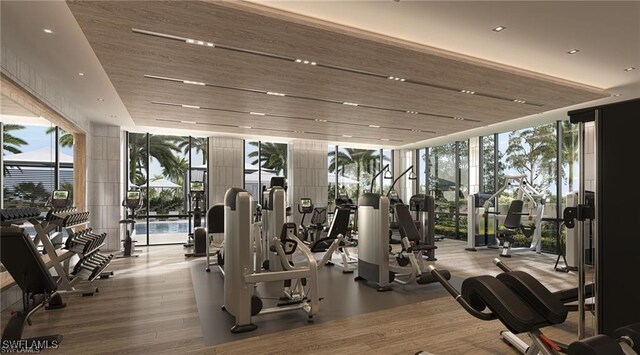 exercise room featuring light hardwood / wood-style floors and a wall of windows