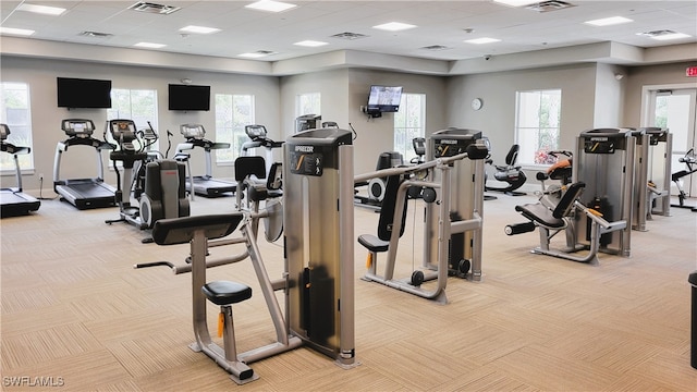 workout area with a paneled ceiling and light colored carpet