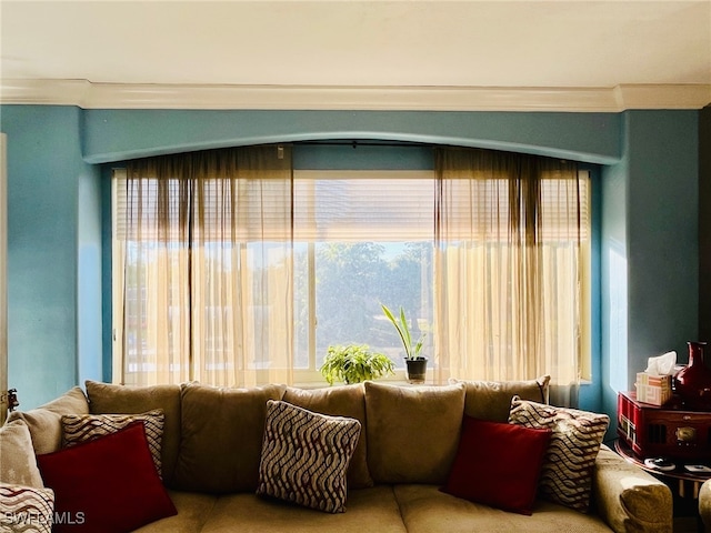 living room with a wealth of natural light and ornamental molding