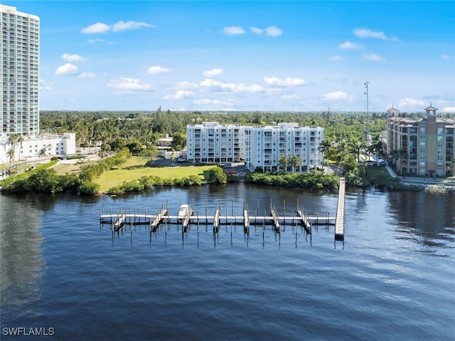 property view of water with a boat dock