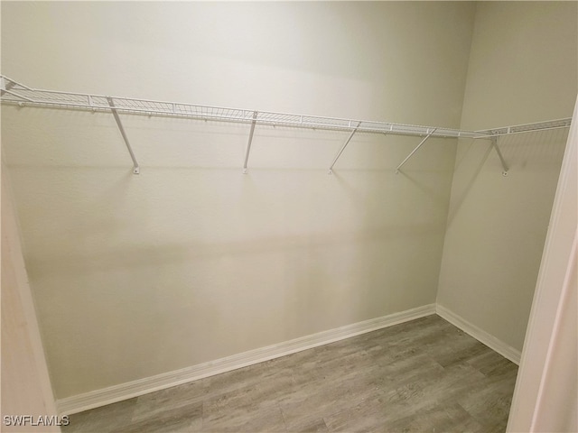 walk in closet featuring hardwood / wood-style floors