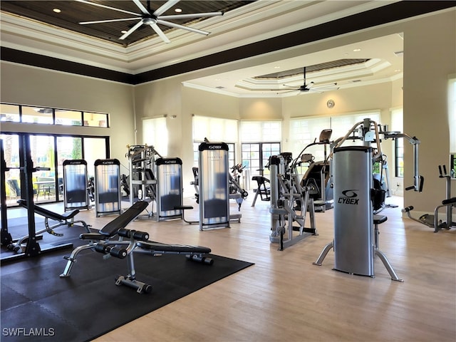 gym with hardwood / wood-style floors, ceiling fan, crown molding, and a tray ceiling