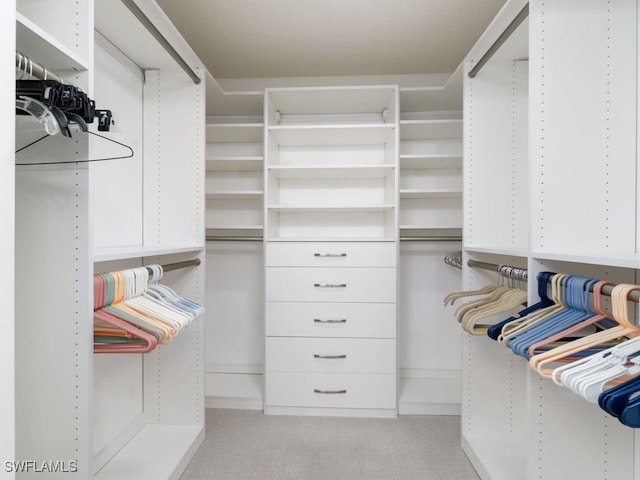 spacious closet with light carpet