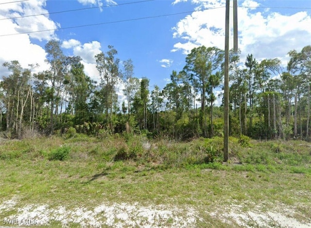 2724 Meadow Rd, Lehigh Acres FL, 33974 land for sale