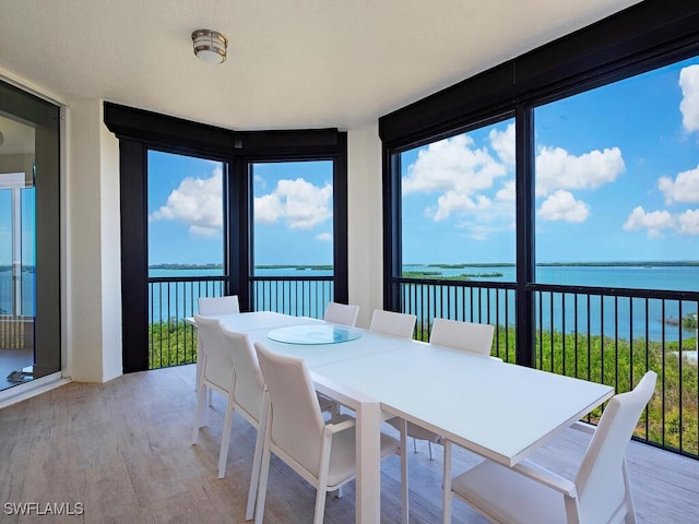 sunroom with a water view and a healthy amount of sunlight