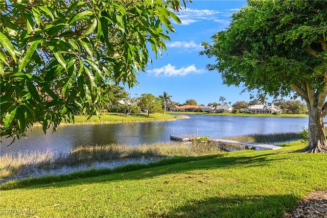 water view featuring a boat dock