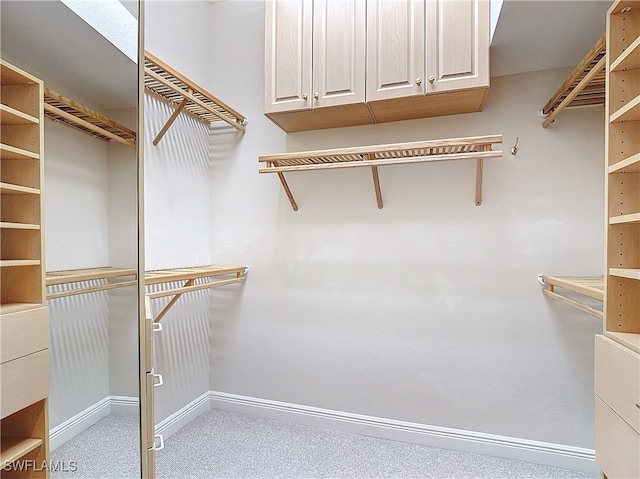 view of spacious closet