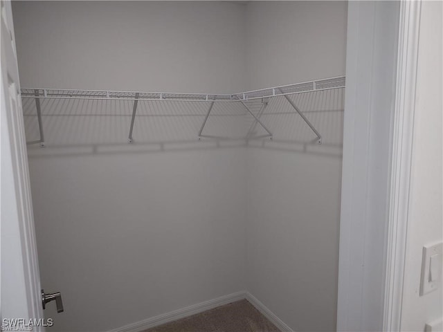 walk in closet with carpet