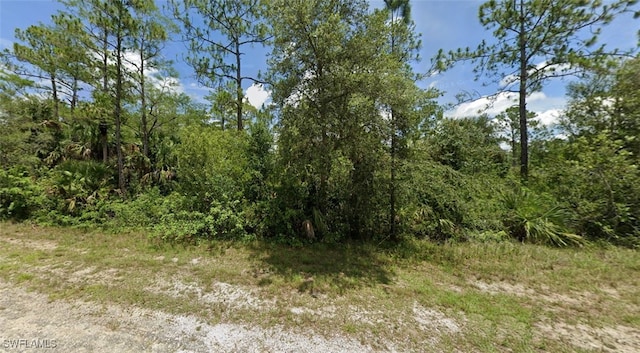 Listing photo 3 for 424 Lakeridge Blvd, Lehigh Acres FL 33972