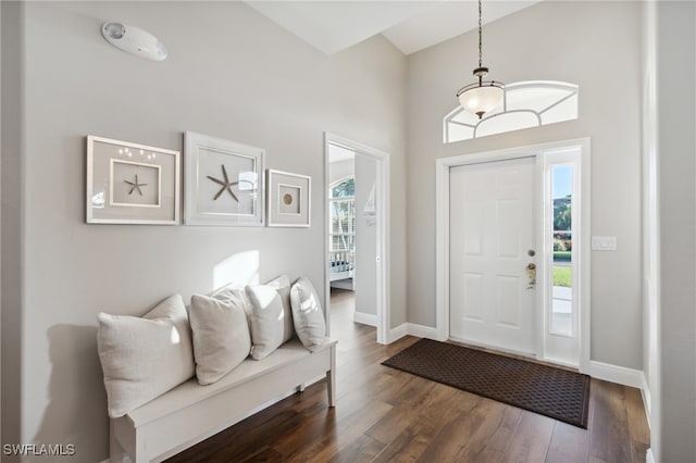 entrance foyer featuring dark hardwood / wood-style flooring